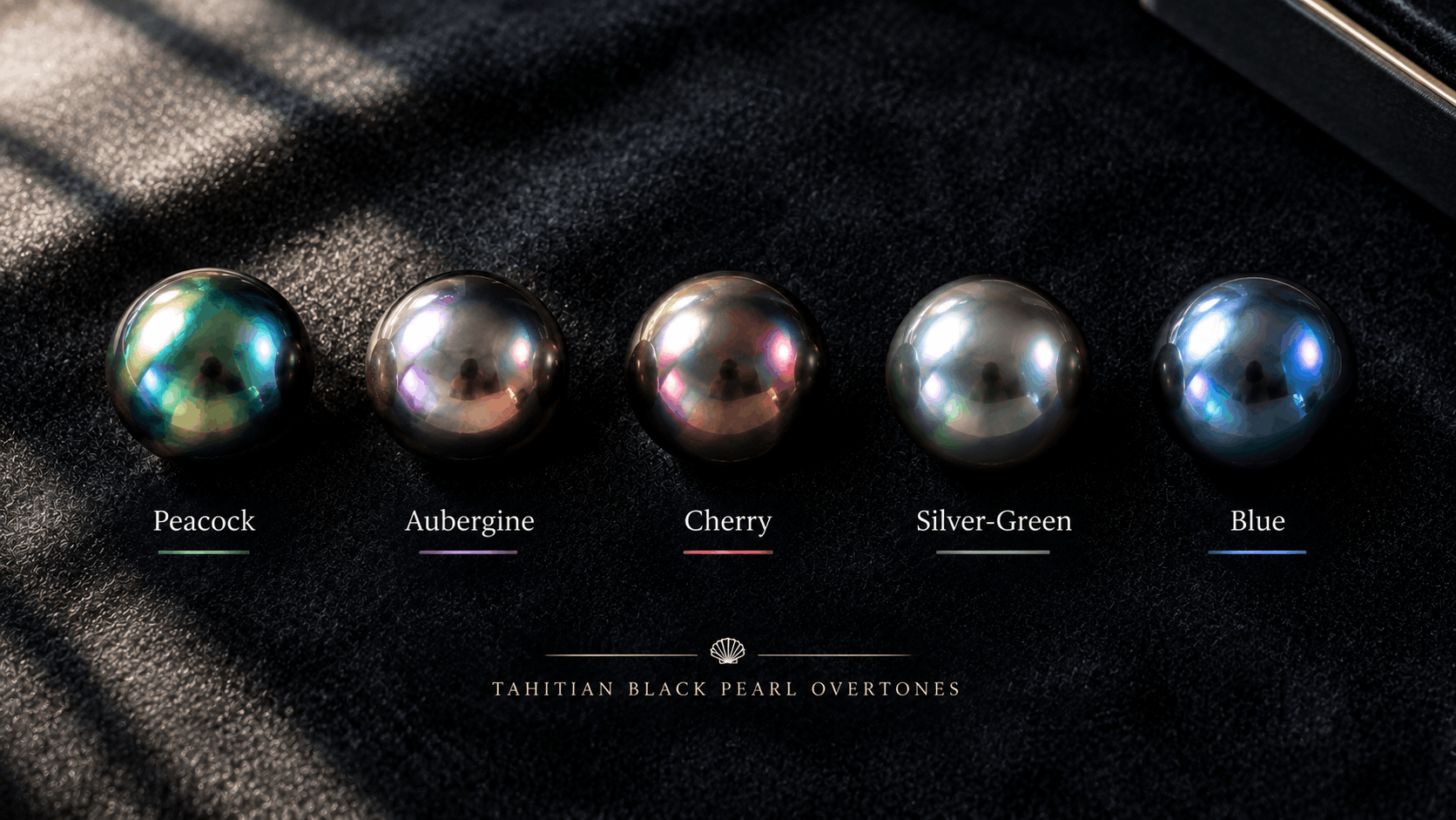 01. Kleuren en overtonen — De complete gids
