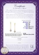 Productcertificaat: AK-W-AA-67-E-Misha