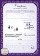 Productcertificaat: B-AA-67-E
