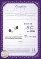 Productcertificaat: B-AA-78-E-SS