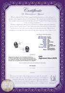 Productcertificaat: B-AA-910-E-SS