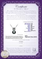 Productcertificaat: FW-B-AAA-89-P-Alina