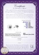 Productcertificaat: FW-B-AAAA-67-E-Winna