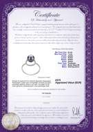 Productcertificaat: FW-B-AAAA-67-R-Andy