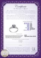 Productcertificaat: FW-B-AAAA-67-R-Cristy