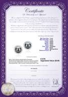 Productcertificaat: FW-B-AAAA-78-E-Dreama