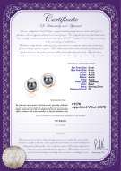 Productcertificaat: FW-B-AAAA-89-E-Zina