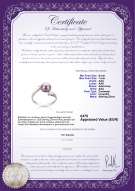 Productcertificaat: FW-L-AAA-67-R-Dana