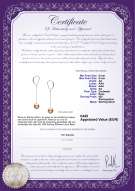 Productcertificaat: FW-P-AA-89-E-Amy