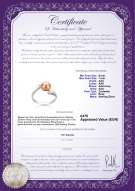 Productcertificaat: FW-P-AAA-67-R-Dana
