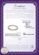 Productcertificaat: FW-W-A-67-BGB-Bliss