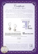 Productcertificaat: FW-W-A-89-E-Kaitlyn