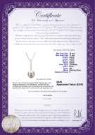 Productcertificaat: FW-W-AAAA-1011-P-Vanna