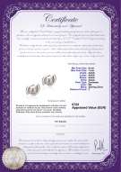 Productcertificaat: FW-W-AAAA-67-E-Zorina