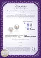Productcertificaat: FW-W-AAAA-89-E-Bessie