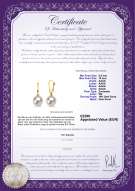 Productcertificaat: FW-W-AAAA-910-E-Elements