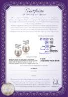 Productcertificaat: FW-W-AAAA-910-E-Marte