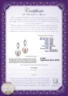 Productcertificaat: FW-W-AAAA-910-E-Shamara
