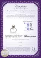 Productcertificaat: FW-W-AAAA-910-R-Grace