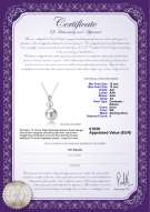 Productcertificaat: FW-W-EDS-1213-P-Patsy