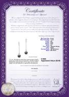 Productcertificaat: JAK-B-AA-67-E-Misha