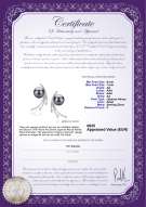 Productcertificaat: JAK-B-AA-67-E-Rosie