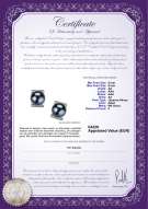 Productcertificaat: JAK-B-AA-89-E-Francine