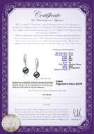 Productcertificaat: JAK-B-AA-89-E-Jacy