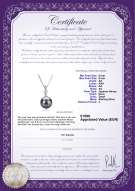 Productcertificaat: JAK-B-AA-89-P-Ellice