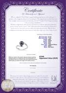 Productcertificaat: JAK-B-AAA-67-R-Daron