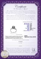 Productcertificaat: JAK-B-AAA-78-R-Caroline