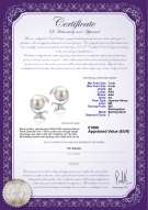 Productcertificaat: JAK-W-AA-78-E-Gilda