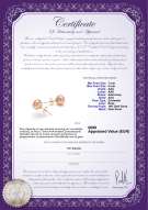 Productcertificaat: P-78-E