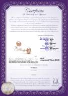 Productcertificaat: P-910-E
