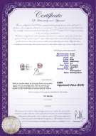 Productcertificaat: P-AA-67-E-SS-OLAV