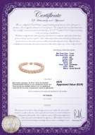 Productcertificaat: P-AA-75-78-B