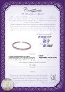 Productcertificaat: P-AA-89-N-OLAV