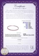Productcertificaat: P-AAAA-657-N-Olav