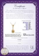 Productcertificaat: SS-G-AAA-1213-P-Edwina