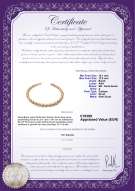 Productcertificaat: SSEA-G-N-C312