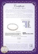 Productcertificaat: SSEA-W-AAA-1216-N