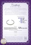 Productcertificaat: SSEA-W-N-C314