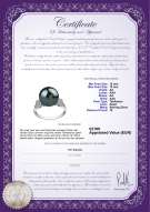 Productcertificaat: TAH-B-AA-1213-R-Ireland