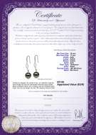 Productcertificaat: TAH-B-AAA-1011-E-Olivia
