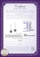 Productcertificaat: TAH-B-AAA-1011-E-Porsha