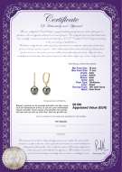 Productcertificaat: TAH-B-AAA-1011-E-Victoria-YG