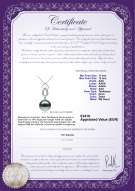Productcertificaat: TAH-B-AAA-1112-P-Teardrop