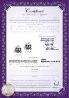Productcertificaat: TAH-B-AAA-89-E-Eva
