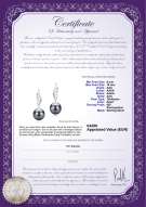 Productcertificaat: TAH-B-AAA-910-E-Wing