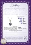Productcertificaat: TAH-B-AAA-910-P-Belva